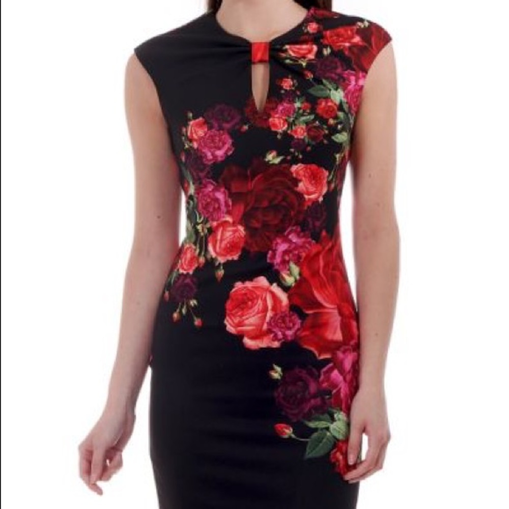 Ted Baker Midi Dress